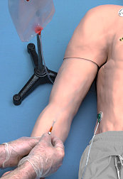 Advanced IV Arm